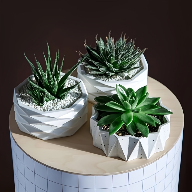 1/2pcs Large Round Irregular S - đánh giá và giá Potsticker Mold