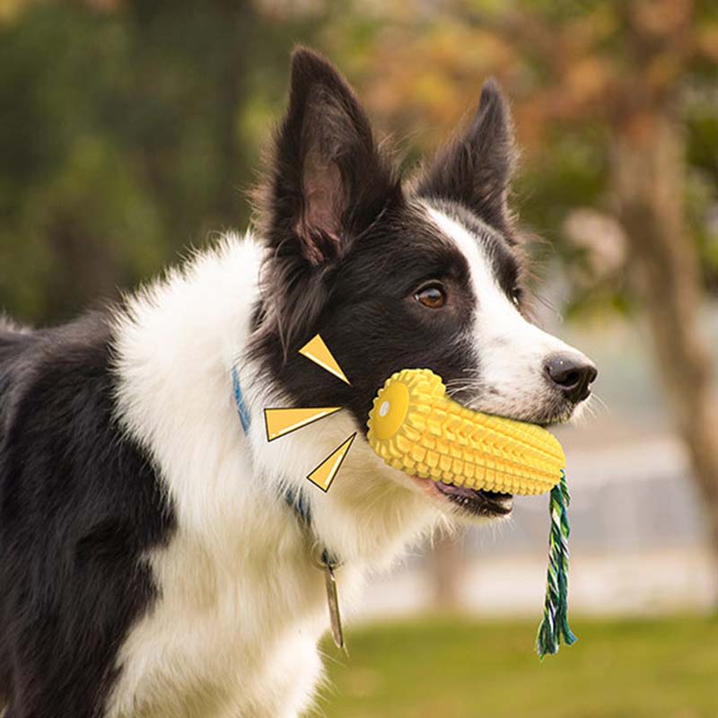 Corn Shape Squeaky Dog Toy Dur - đánh giá và giá Corn Dog Stick